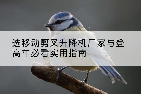 马村电动升降机厂家-选移动剪叉升降机厂家与登高车必看实用指南