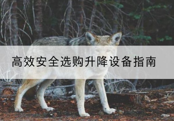 马村升降货梯厂家推荐-*安全选购升降设备指南